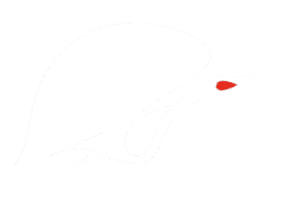大雁 Logo